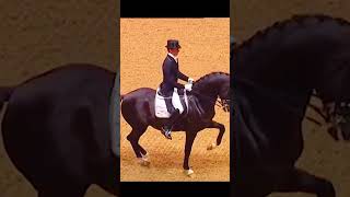 Champion of Dressage  Totilas Edit ♥️✨ horse foryou fypシ equestrian edit dressage shorts [upl. by Vish]