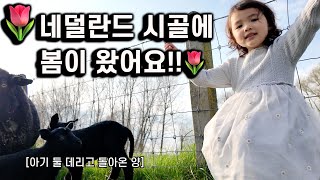 3살이지만 넘 바쁜 봉글이의 시골 봄맞이 브이로그 feat 새로온 양 이웃🐑 [upl. by Elleira]