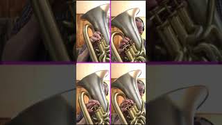 Adagio from Beethovens Pathetique Sonata  Euphonium Quartet [upl. by Donegan569]