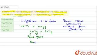 InMendelian dihybrid cross when heterozygous Round Yellow are self crossed Round Green offspri [upl. by Anawahs]