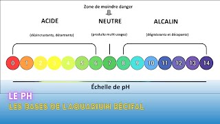 Avoir Un Aquarium Récifal Parfait Avec Un Ph Parfait  Les Bases [upl. by Alyehs]