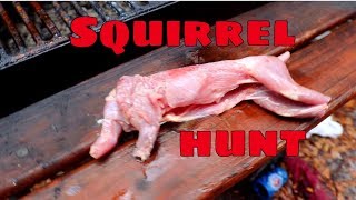 How to hunt Squirrel  CATCH CLEAN AND COOK [upl. by Niwhsa]