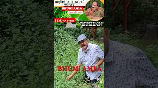 Bhumi Amla ke Chamatkari Fayde  Boost Your Health Naturally [upl. by Ahsekar257]