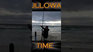 Mulloway time fishing fishingmethods fishingtechniques fish beachfishingaustralia [upl. by Ennovad]