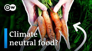 Permaculture Producing food without destroying the planet [upl. by Fraase]