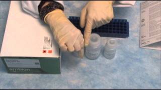 Isolate RNA with the PureLink™ RNA Mini Kit qPCR step 2 [upl. by Kirtley]