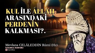 Kul ile Allah Arasındaki Perdenin Kalkması  Mevlana Celaleddin Rumi Sesli Kitap [upl. by Yrojram]