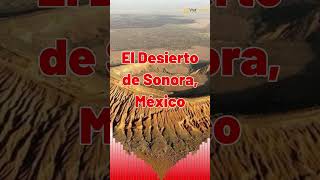 El abrasador Desierto de Sonora descubre todo sobre su temperatura [upl. by Lavud849]