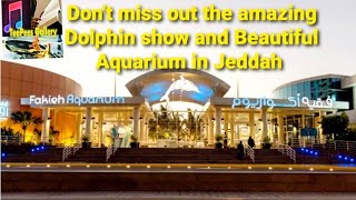 Dolphin show in Fakieh AquariumJeddah Saudi Arabia Tourism Aquarium Fish  Aquarium Saudi Arabia [upl. by Pozzy804]