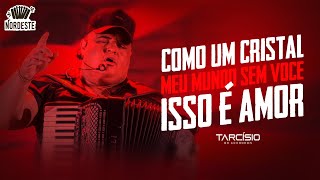 TARCÍSIO DO ACORDEON  Como Um Cristal  Meu Mundo Sem Você  Isso É Amor [upl. by Eceerahs]