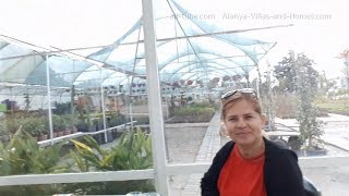 Alanya  Auswander Info Gärtnerei in Kestel und Metzgerei  Ali Iscitürk [upl. by Marianna775]