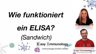 Easy Immunology  Methoden Der Sandwich ELISA [upl. by Vladamar]