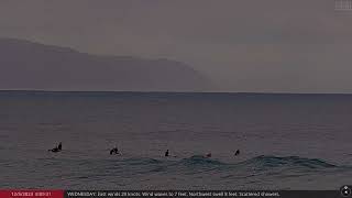 Dec 5 2023 Big Wave Surfing in Waimea Bay on the North Shore of Oahu Hawaii [upl. by Cchaddie]