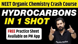 HYDROCARBONS in 1 Shot  All Concepts Tricks amp PYQs Covered  Class 11  NEET [upl. by Petuu611]