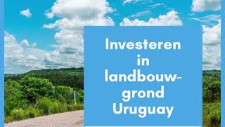 Investeren in landbouwgrond Uruguay [upl. by Abigael55]