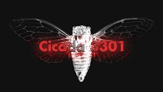 Cicada 3301 An Internet Mystery [upl. by Jocelyne108]