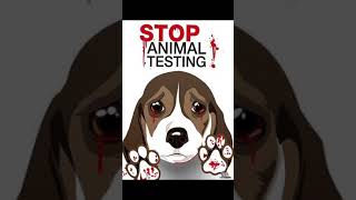 stop animal testing edit  SaveRalph [upl. by Notsa41]