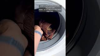 How To Clean Leather In A Washing Machine  A Drycleaner’s Guide laundry [upl. by Sherris]