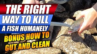 The Right Way To Kill A Fish Humane Way To Kill Fish After Catching Bonus How To Gut Clean Best Bait [upl. by Ellmyer]