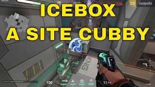 One Minute Shockdart Icebox A Nest To Site Cubby [upl. by Jeromy]