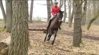 Hangbahntraining  deshalb ist das Trainig am Hang so effektiv  Kurd Albrecht von Ziegner [upl. by Joellyn]