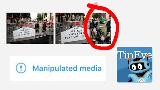 Tutorial  How to Use TinEye Identify A Doctored Image [upl. by Alauqahs]