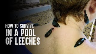 How to Survive a Pool of Leeches [upl. by Aliahkim]