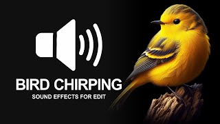 Bird chirping sound effect for edits [upl. by Notselrahc814]