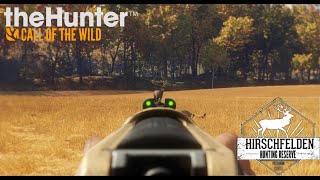 Cazando en Hirschfelden Corzo y Ciervo Comun  TheHunter Call of the Wild [upl. by Alitha]