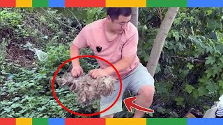 Rescuing an Abandoned Dog from the Dump and Changing Its Life Forever [upl. by Asiluj563]