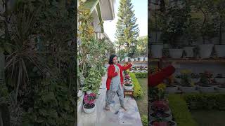 Gaurangi garhwali song dance uttrakhand pahadi channel share subscribe [upl. by Alvan260]