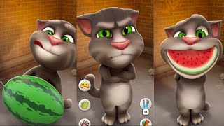 tom cat funny videos [upl. by Lydon]