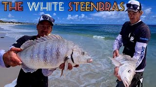 Fishing For White SteenbrasCaught 2 Legal Sizes in 1 Day with Freshly Pumped Prawn [upl. by Debera]