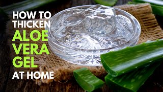 How To Thicken Aloe vera Gel at Home Similar To Those Sold in Stores [upl. by Brownson771]