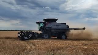 Gleaner S97 combines with 40 foot MacDon headers Kvasnicka Harvesting [upl. by Jeannine]