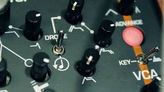 Analogue Solutions TREADSTONE synthesizer  Audio Demo 1 SYNTHBLOCK [upl. by Stoops]