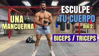 Rutina de Biceps y Triceps Esculpe TU CUERPO Dia 2 28 Minutos Quema Grasa Gana Músculo [upl. by Harmonia]