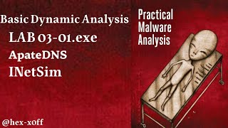 Basic Dynamic Analysis  Lab0301  practicalMalwareAnalysis [upl. by Tolley]