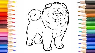 How To Draw Chow Chow Dog  Easy Dog Drawing For Kids Learn to Draw And Color With me [upl. by Siul]