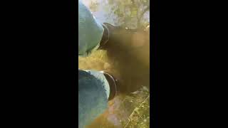 Aigle Parcour 2 Rainboots in Creek  Wet Wellies in Water [upl. by Aicella]