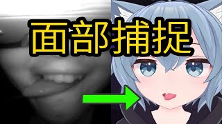 Quest和PICO也能面部捕捉玩VRChat了？ [upl. by Ahtiuqal]