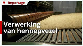 Verwerking van hennepvezel [upl. by Lena600]