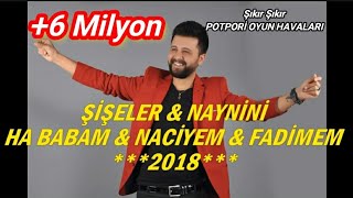 MEVLÜT TAŞPINAR  Potpori ŞİŞELER amp NAYNİNİ amp NACİYEM amp FADİMEM Düğün Oyun Havaları [upl. by Aihsekram]