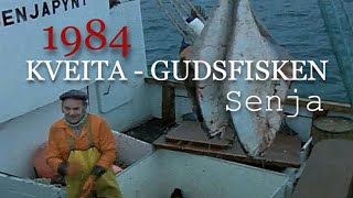 Kveita  Gudsfisken Kveitefiske vest av Senja 1984 [upl. by Mencher925]