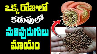 ఒక్క రోజులో కడుపులో నులిపురుగులు మాయం Kills Intestinal Worms Benefits of Vayu Vidangalu KSKHome [upl. by Gwenore826]