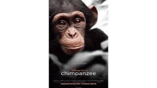 OFFICIAL Chimpanzee Disneynature Trailer HD [upl. by Aleac709]