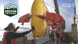 What Axial Seamount can teach us about predicting volcanic eruptions  Oregon Field Guide [upl. by Meit]