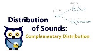 Distribution of Sounds Complementary Distribution [upl. by Woodford]