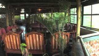 Muchenje Safari Lodge  Botswana  Expert Africa [upl. by Farlie692]