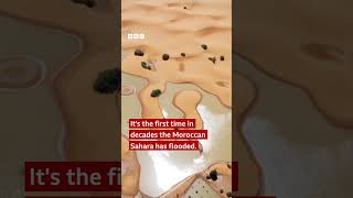 Why is the Sahara desert under water  BBC Africa shorts [upl. by Ambrosi863]